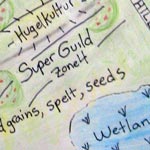 Permaculture Design Certificate Course drawing