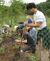 Permaculture Design Certificate Course